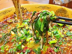 -乐山第一家临江鳝丝(茶坊路店)