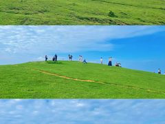 -大姆山草场