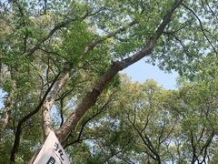 -无锡梅园公园