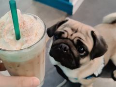 -NokNok Coffee(宽窄巷子店)