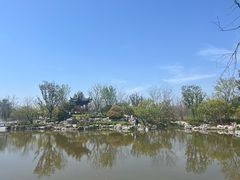 -上海滨江森林公园