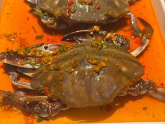 -粤凤佬