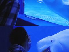 -多彩贵州城极地海洋世界