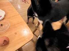 -柴の食堂·日式家庭料理·熊之肆(大学路店)