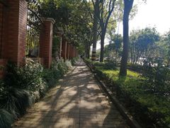 -上海吴淞炮台湾国家湿地公园