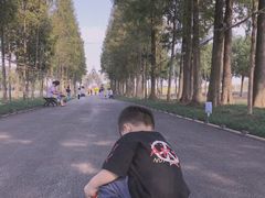 -歌斐颂巧克力小镇