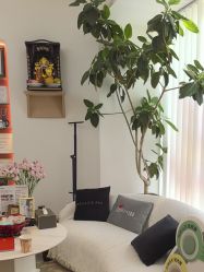 -WENDY·温迪皮肤管理