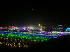 -大塘金香草谷