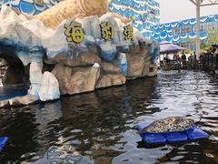 -华夏文旅海洋公园