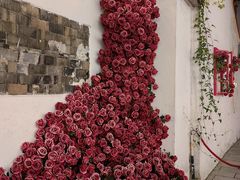 -青果巷历史文化街区