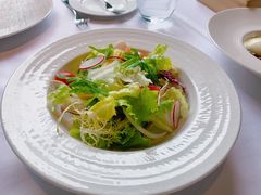 春季沙拉-蝶舍·MAISON PAPILLON