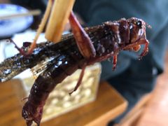 -老保定驴肉馆(云岗路店)
