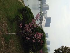 iphone_upload_pic-天鹅湖体育公园