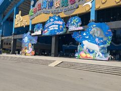 -泉城欧乐堡海洋极地世界