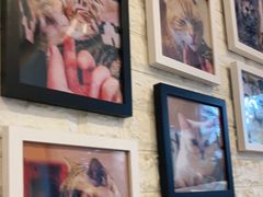 -平行世界·猫咖(首经贸店)