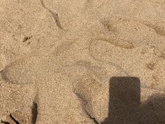 -北戴河东海水浴场