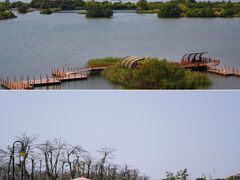 -芒洲湿地公园