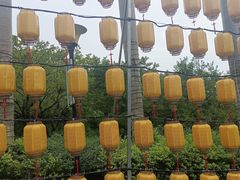 -光明农场大观园