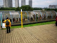 -长白岛森林公园