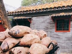 -南锣鼓巷