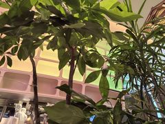 -桂满陇·蟹黄小笼汤包(清河万象店)
