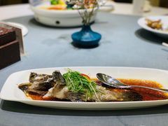 清蒸老虎斑-宝燕壹号(长寿店)