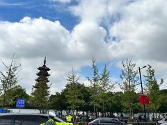 -龙华素斋(龙华路店)