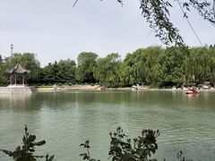 -达活泉公园