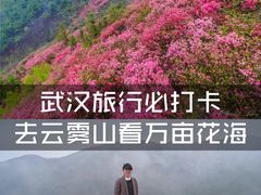 -木兰云雾山