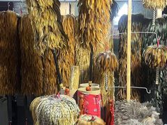 -中环花鸟鱼虫市场