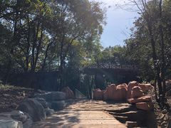 -石燕湖生态旅游景区