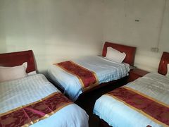 -南雄冯屋银杏山庄