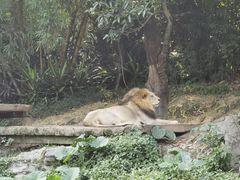 -广州长隆野生动物世界