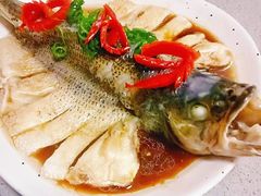 -巧妈月嫂•育婴师(兰州中心店)