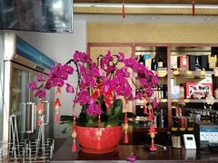 -全聚德烤鸭店(马家堡店)