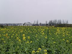 -中国天府农业博览园