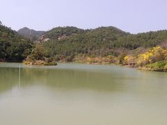 -广州白江湖森林公园