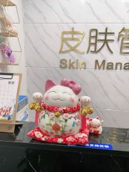 -凡碧诗毛孔收细