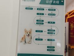 -瑞派康怡24h宠物医院·犬猫医疗中心·微创绝育(瑞景分院)