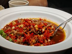 -三强鸽子(中原路店)