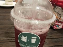 -有猫主题·治愈系猫咖(曾厝垵店)