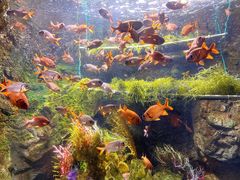 -太平洋海底世界