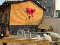 -HERRE·FARM 赫尔露营农场·团建聚会包场