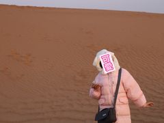 -通湖草原