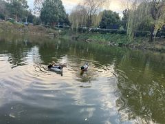 -天目湖涵田半山温泉