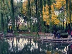 -玲珑塔公园