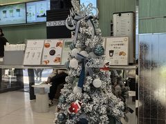 -宝藏绿洲(万象前海店)