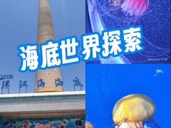 -太平洋海底世界