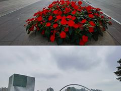 -二沙岛艺术公园
