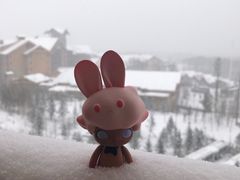 -长白山万达喜来登度假酒店